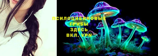 2c-b Алзамай