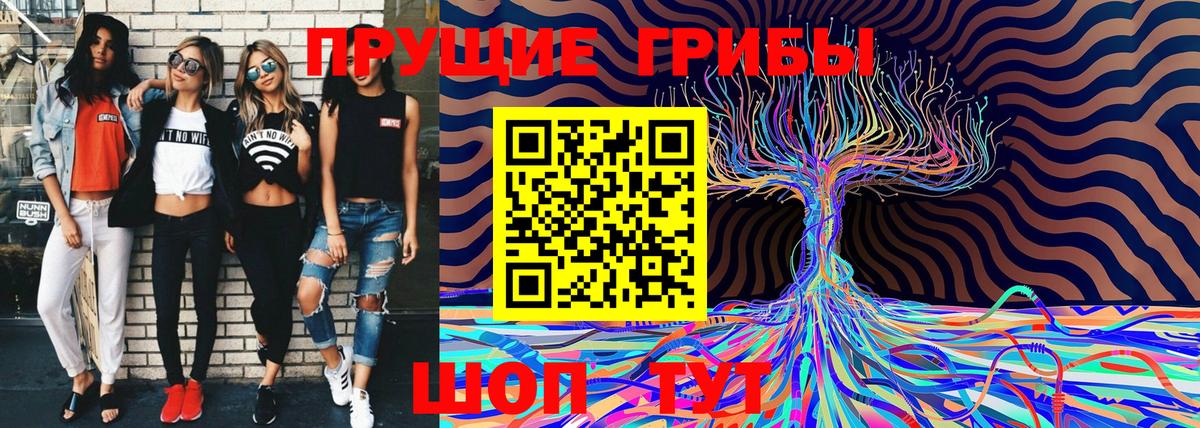 Галлюциногенные грибы прущие грибы  Вход с VPN  Павлово 
