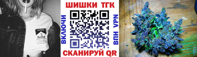 Бошки Шишки планчик Павлово